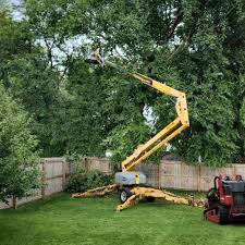 Best Seasonal Cleanup (Spring/Fall)  in Baxter Estates, NY